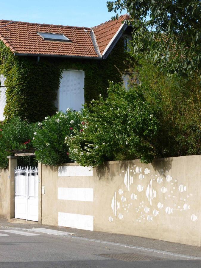 Les Petits Poissons Bed & Breakfast Avinyon Dış mekan fotoğraf