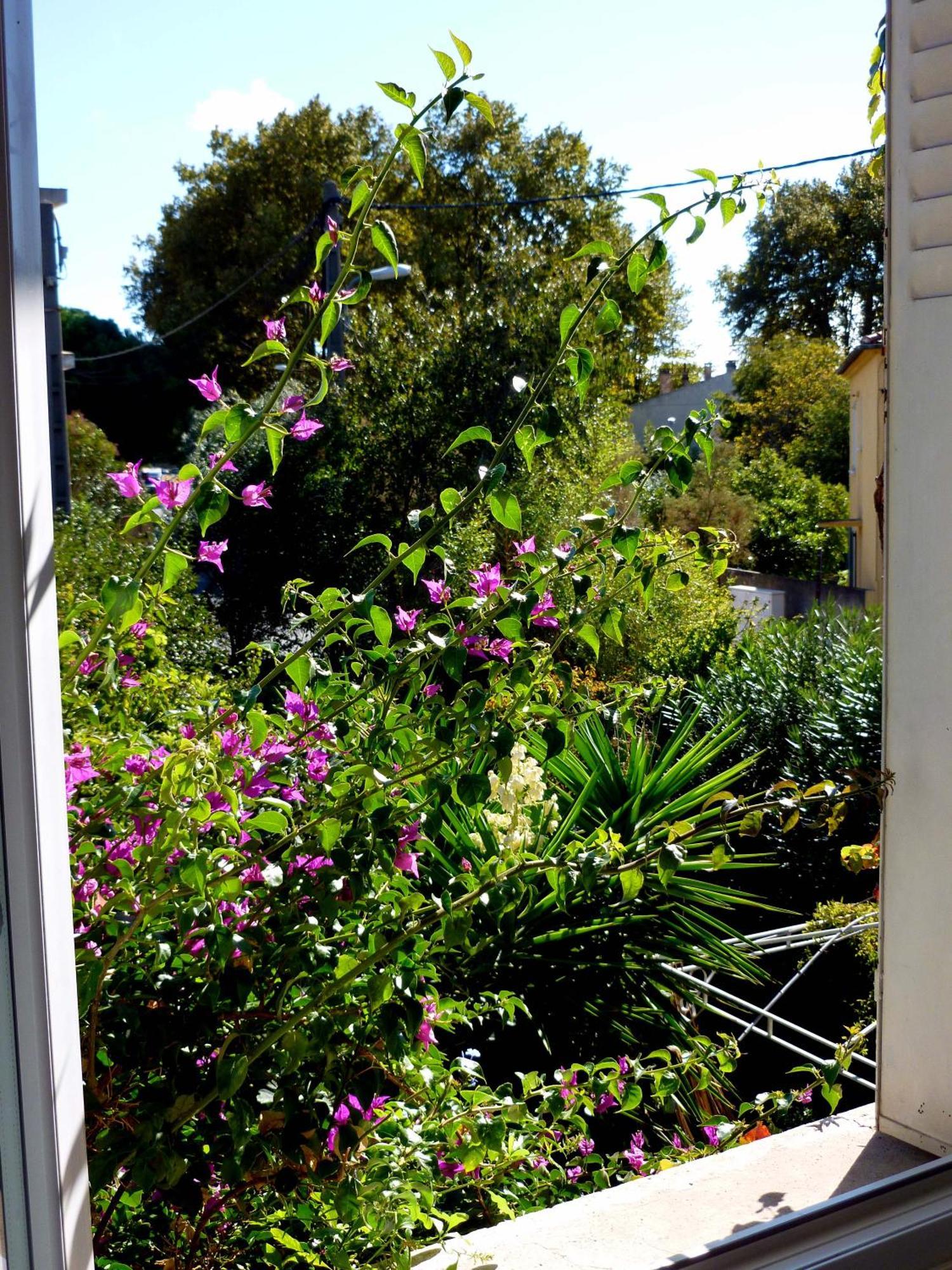 Les Petits Poissons Bed & Breakfast Avinyon Oda fotoğraf